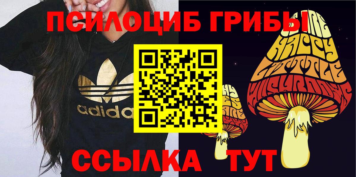 Александров  Псилоцибиновые грибы MAGIC MUSHROOMS  Вход с VPN  Псилоцибиновые грибы ЛСД 