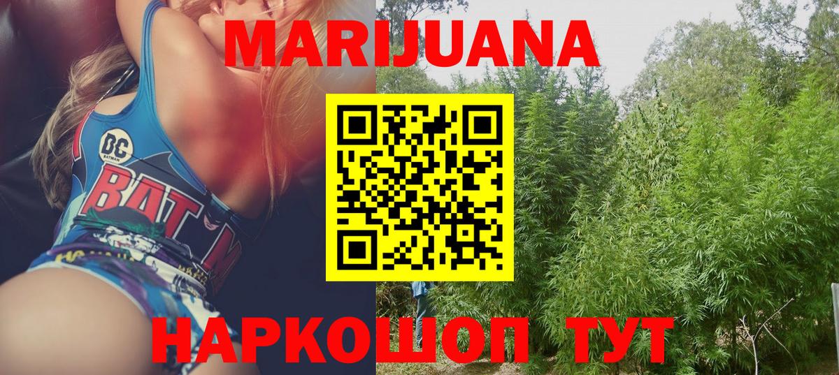 Канабис сатива Александров